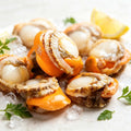 Frozen Scallop Meat With Coral