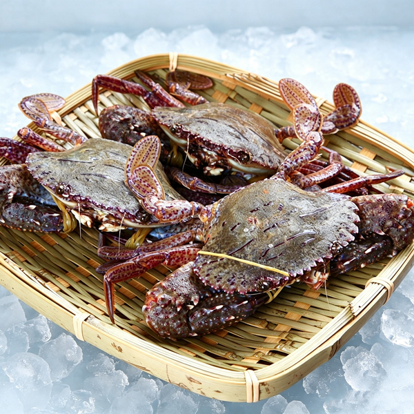Fresh Caught Sea Swimming Crab